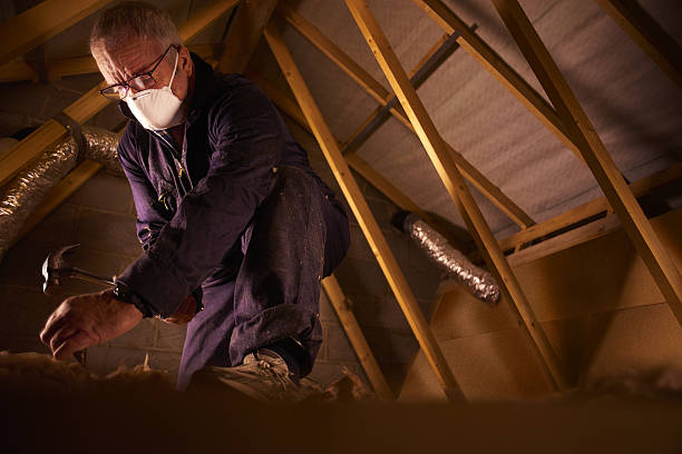 Best Energy Efficiency Insulation in Kula, HI