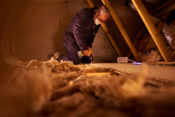 Best Residential Insulation in Kula, HI